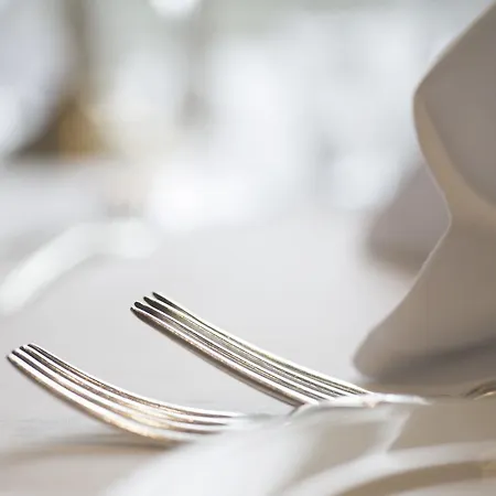 מלון Fleischer's 4*