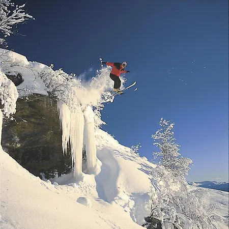 Fleischer's Отель