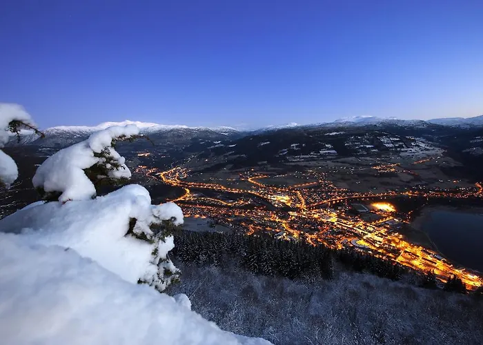 酒店 弗莱舍酒店 Voss